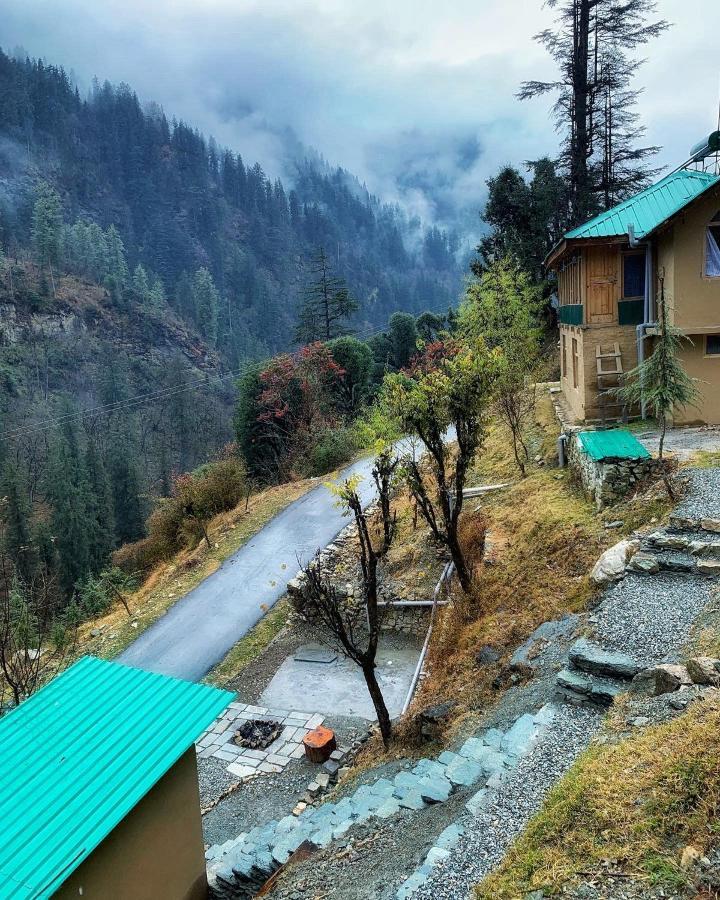 The Misty Wilds Home,