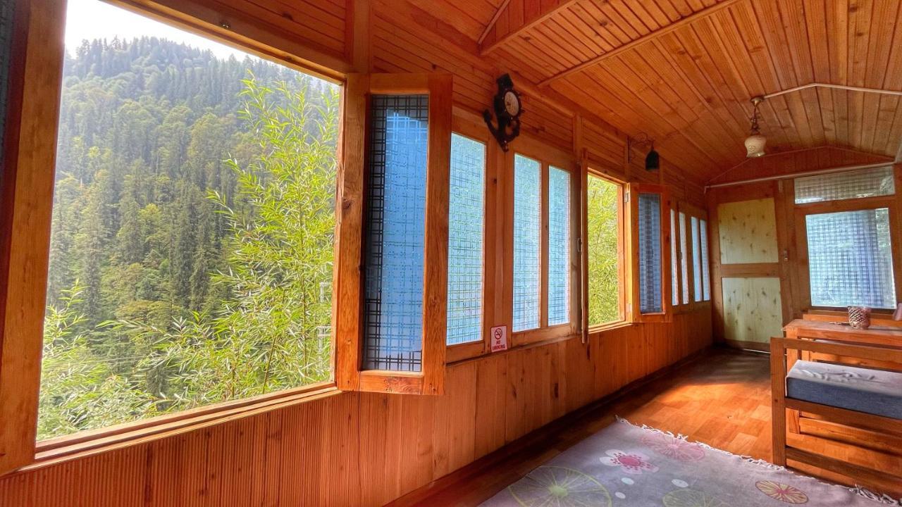 The Misty Wilds Home, Homestay *