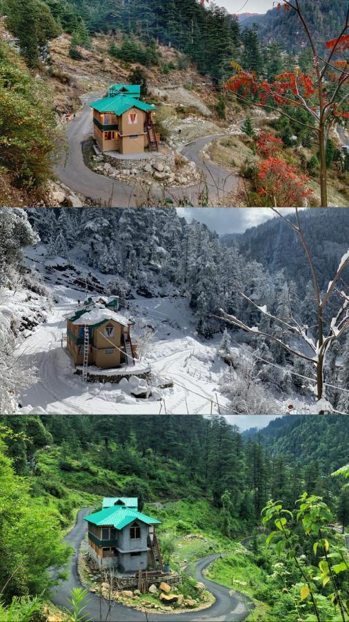 The Misty Wilds Home, Homestay