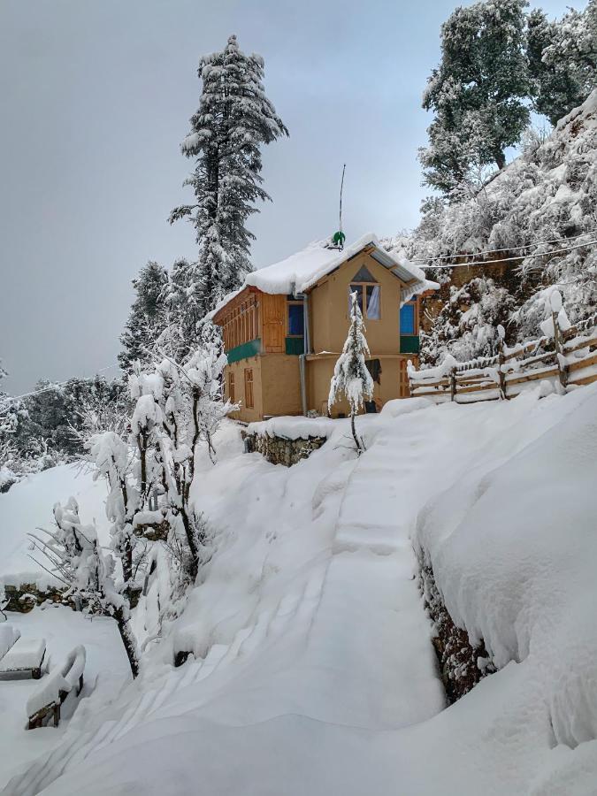 Homestay The Misty Wilds Home, Jibhi