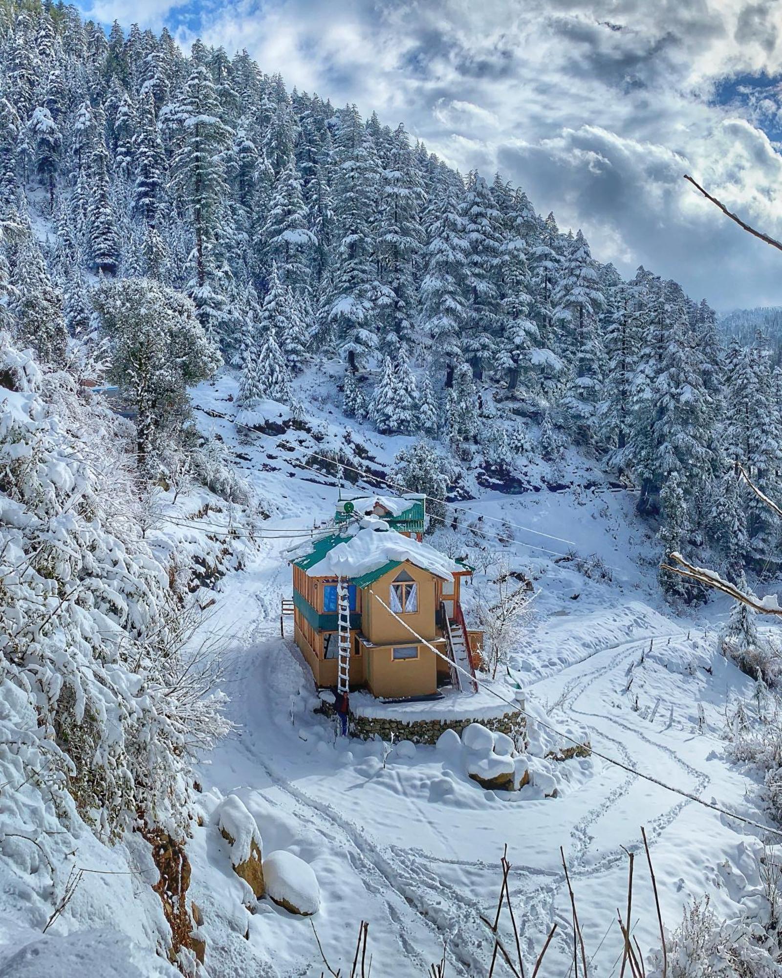 The Misty Wilds Home, Homestay